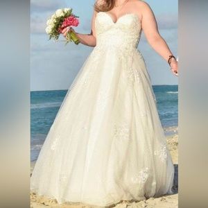 Lace Overlay Wedding Gown
